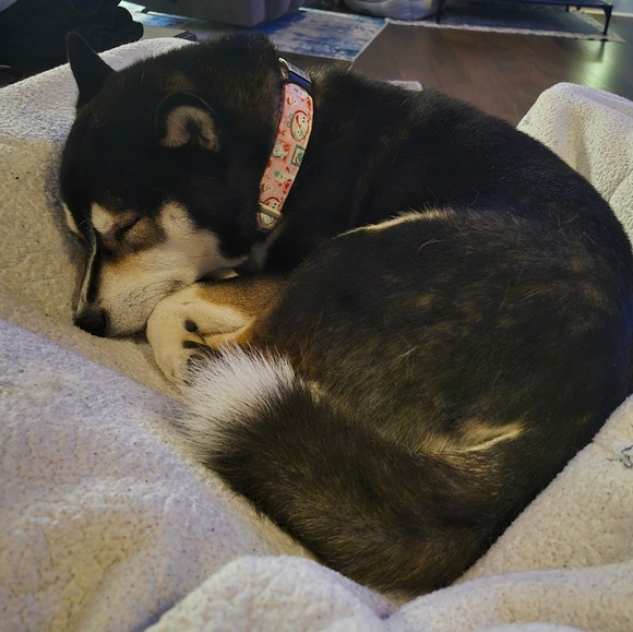 💖 March 16th 9:15 am Est Live Share Show Notification Share 1 LOW START - Picture 10 of 10